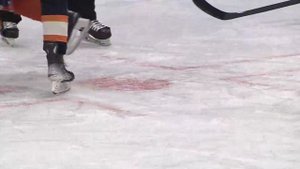 Шайбы Никиты Дишковского и Святослава Гребенщикова п?