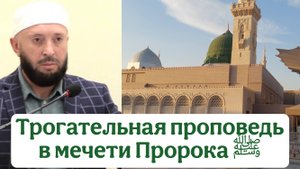 Трогательная проповедь в мечети Пророка ﷺ