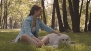 Эта история потрясла весь мир! Вот что сделала собака ?