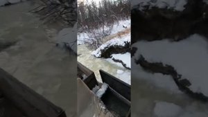 Мтлб тайга покатушки на вездеходе