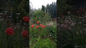 Таро.Высшие силы для вас.