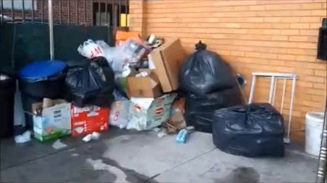 Нью-Йорк Обзор Квартиры в Бруклине