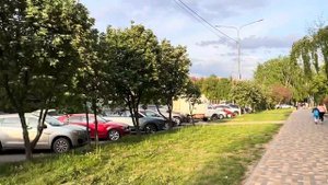 3 месяца отжиманий