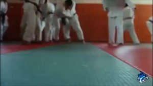 Такси 5 скатилось на самое дно,Муравей и оса-MARVEL клали ?