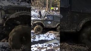 газ 69 на вояках тракторна резина двигун 2,4тд андорія о?