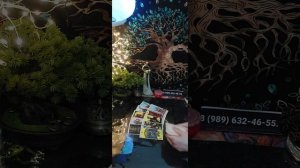 Таро-расклад