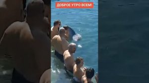 Счастливые эмоции