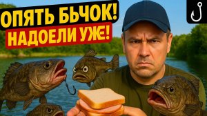 Опять эта история… Бычок, крючок и мои нервы