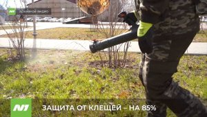 В Нижневартовске завершается первый этап обработки от клещей