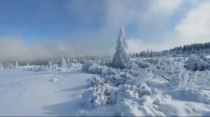 Ветерок завывая! (слова и музыка Зеленина А.Б)