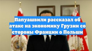 Папуашвили рассказал об атаке на экономику Грузии со стороны Франции о Польши