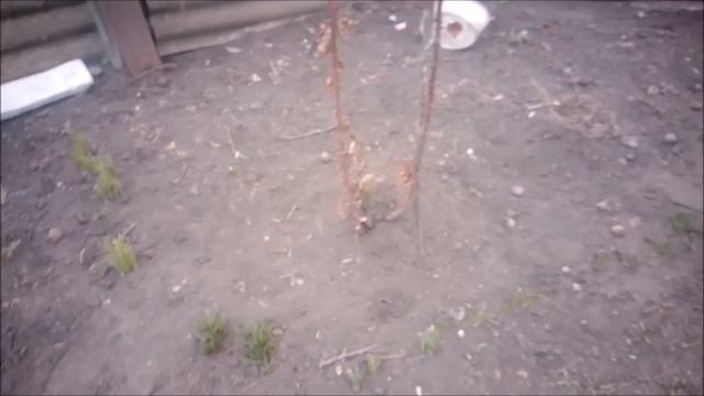 Обстановка тяжёлая, но мы вяжем, сажаем огород смотреть онлайн