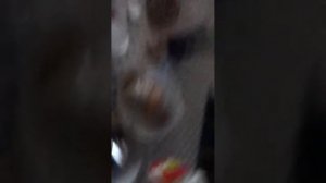 Мы на яхте провисели 2 недели