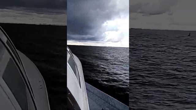 Катание на метеоре СПб смотреть онлайн