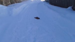 тест драйв шорт корс трак зимой в Нижневартовске