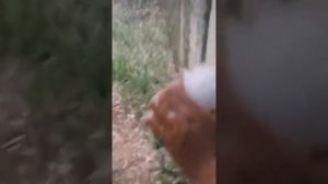 ПРИРОДА МСТИТ НАМ ЗА ГРЕХИ 1000049285.mp4