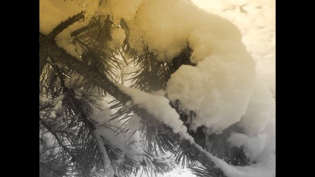 А. Алексин.  Мой брат играет на кларнете. смотреть онлайн