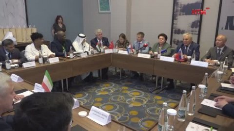 Владимир Чибиркин провёл рабочую встречу с зарубежными гостями