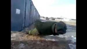 Отжимание без рук армейский прикол