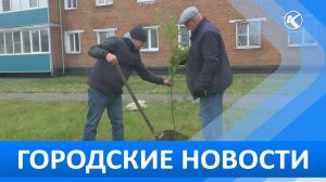 Городские новости 29 Мая 2025
