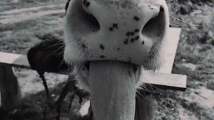 Затон (Барнаул). Поездка на велосипеде до Затона обернулась кошмаром...