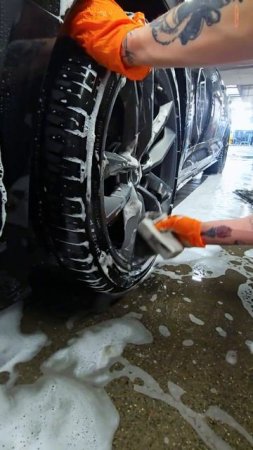 Мойка М3 Бухарестская. Трехфазная мойка