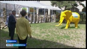 Ставрополье – родина слонов: как эти южные животные стали визитной карточкой края