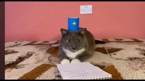 (@Kotiynet)  конец школьного года
