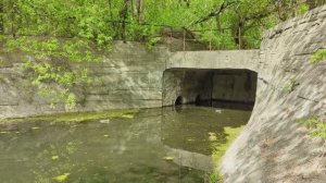 Прогулка между Цирканалом и Любовкой