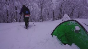 CAMP 40 ,FID;VO