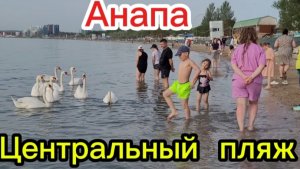 А мазут то есть на центральном пляже.