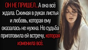 Истории из жизни. "Встреча, приготовленная судьбой". Аудио рассказы