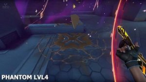 CHAMPIONS 2024! ОБЗОР СКИНОВ! #VALORANT