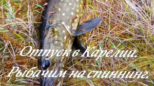 Отпуск в Карелии. Рыбачим на реке,болоте и заливах! Шикарная природа! Рыбалка на спиннинг.
