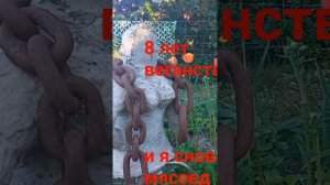 Полезно ли веганство? Мой 8-летний опыт!