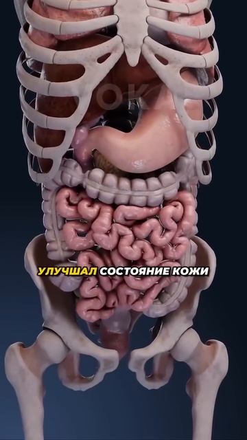 Сорняк который лечит печень