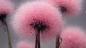 1 июня! С Первым Денем Лета! Лето Пришло! #первыйдень #лета