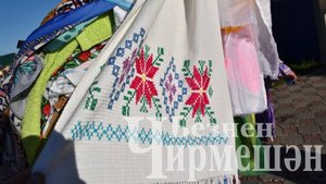 Чирмешәндә сөлге җыю - 2025