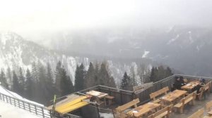 Почему нельзя выбрасывать волосы в мусорку: приметы, о