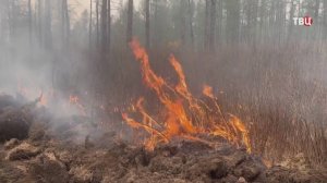 В затянутую дымом Читу прилетел самолет-зондировщик "Циклон" / События на ТВЦ