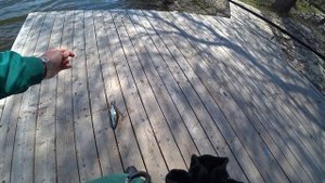 Внезапно ВЛУПИЛ СУДАК. DUO Tetra Works React TWRT-58