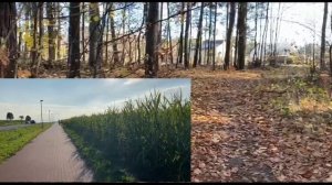 ЖИЗНЬ В ДЕРЕВНЕ В ПОЛЬШЕ СЕГОДНЯ. Расскажу о себе, где ?