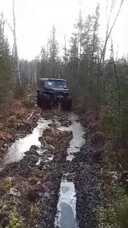 YARS идет по тайге