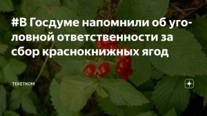 2025. РФ: ПРАВИЛА ДЛЯ МИГРАНТОВ. СЕСТЬ ЗА ЯГОДЫ. ИПОТЕКА ДЛЯ СВО. КВАРТИРЫ НЕ ПОКУПАЮТ. Дайджест