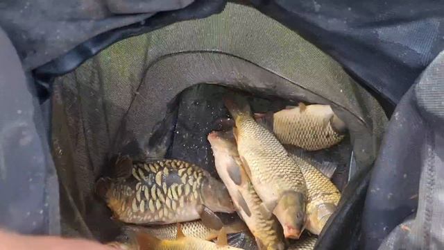 30-05-2025 смотреть онлайн