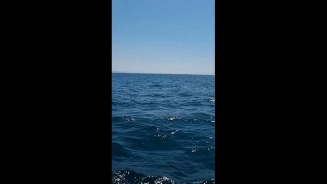 Финальные испытания новой экспедиционной моторной ях смотреть онлайн