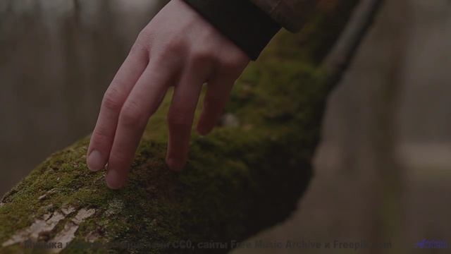 Саунд проникает в душу быстрее любого ветра - Obsolete (lofi samba rock) -- Keshco -- Filmmakers Ref