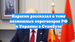 Карасин рассказал о теме возможных переговоров РФ и Украины в Стамбуле