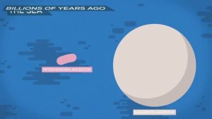 What Is Life? Is Death Real?