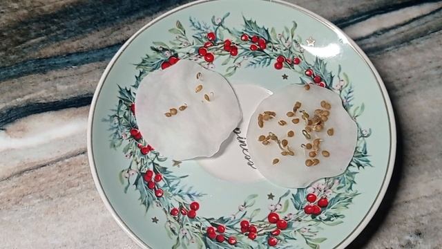 🍅Сеем помидоры на рассаду🍅Рассада помидоров в квартире🍅Огород на подоконнике🍎 смотреть онлайн